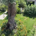 Aurelia Seaside Apartment